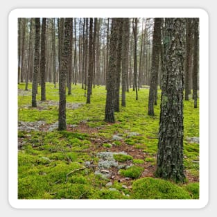 Mossy Forest Sticker